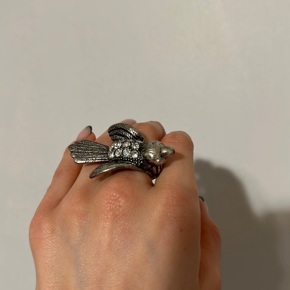 Bird ring